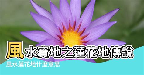 蓮花地風水